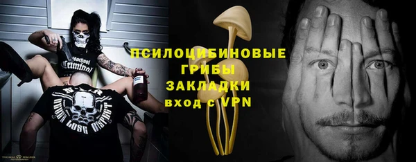 мяу мяу мука Горно-Алтайск