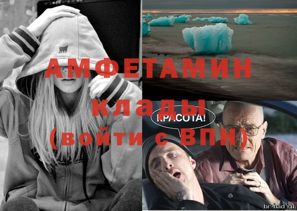 мяу мяу мука Горно-Алтайск
