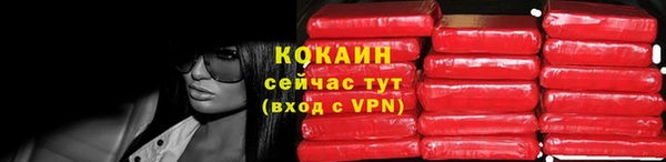 мяу мяу мука Горно-Алтайск