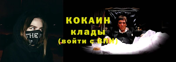 мяу мяу мука Горно-Алтайск