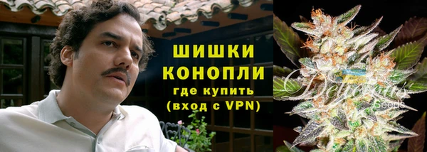мяу мяу мука Горно-Алтайск