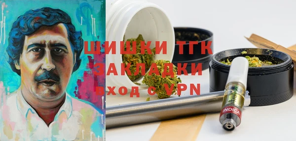 PSILOCYBIN Горнозаводск