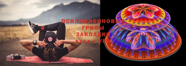 PSILOCYBIN Горнозаводск