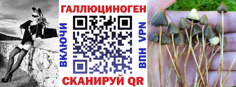 Купить где  Кирсанов  Галлюциногенные грибы MAGIC MUSHROOMS 